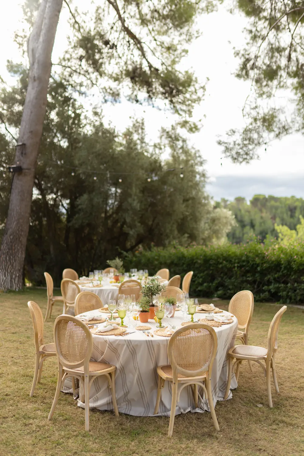 Silla Luis XVI cannage en boda al aire libre
