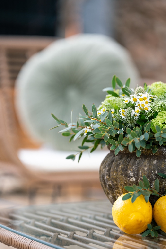 Chill out Tramuntana (10 plazas)